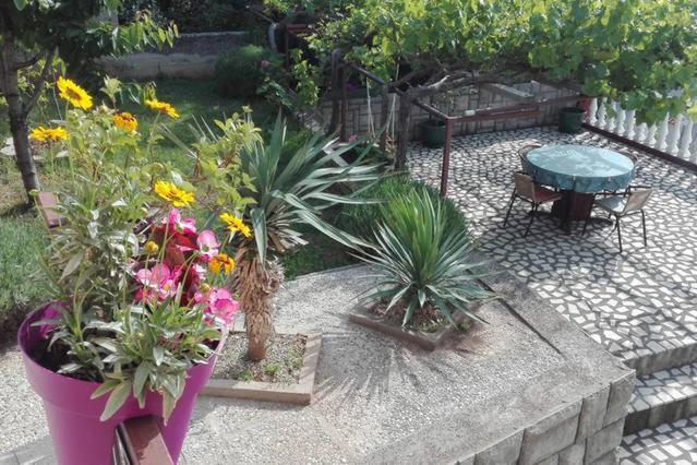 Apartment Dunja سينج المظهر الخارجي الصورة